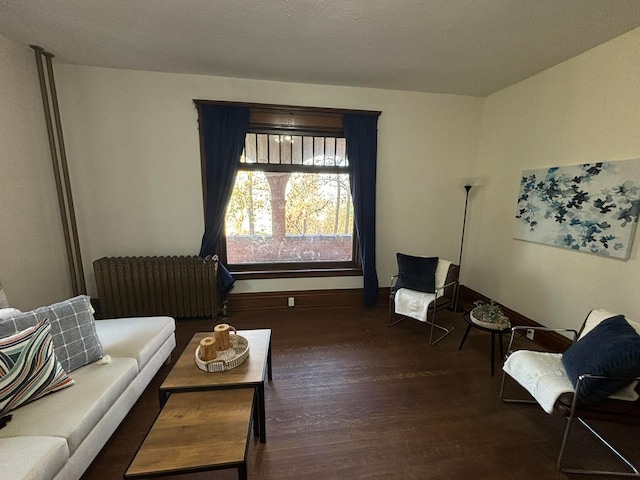 living area with radiator and dark hardwood / wood-style flooring