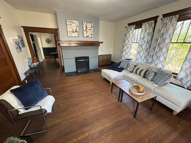 living room with a textured ceiling, dark hardwood / wood-style floors, and radiator