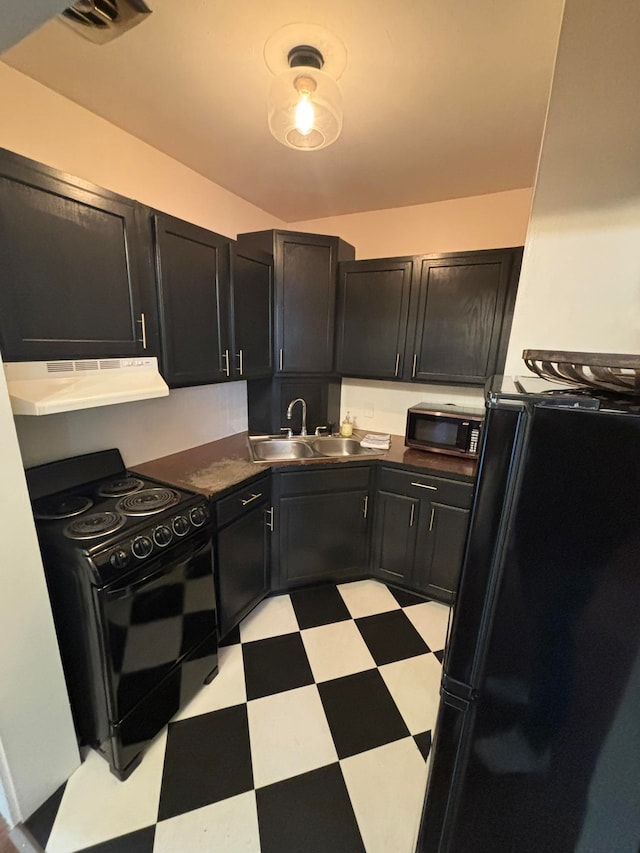 kitchen with black appliances, ventilation hood, and sink