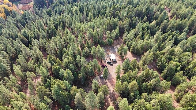1631Q Bonanza Hill Rd, Evans, WA 99126 - photo 11