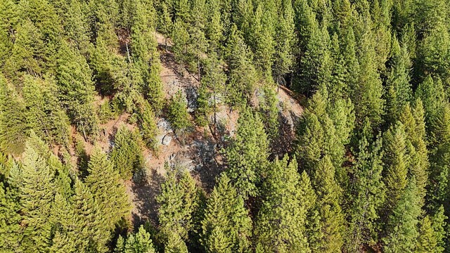 1631Q Bonanza Hill Rd, Evans, WA 99126 - photo 13