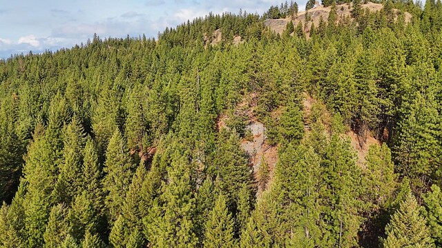 1631Q Bonanza Hill Rd, Evans, WA 99126 - photo 15
