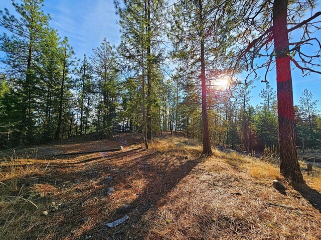 1631Q Bonanza Hill Rd, Evans, WA 99126 - photo 19