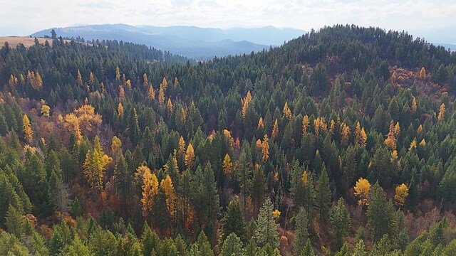 1631Q Bonanza Hill Rd, Evans, WA 99126 - photo 20