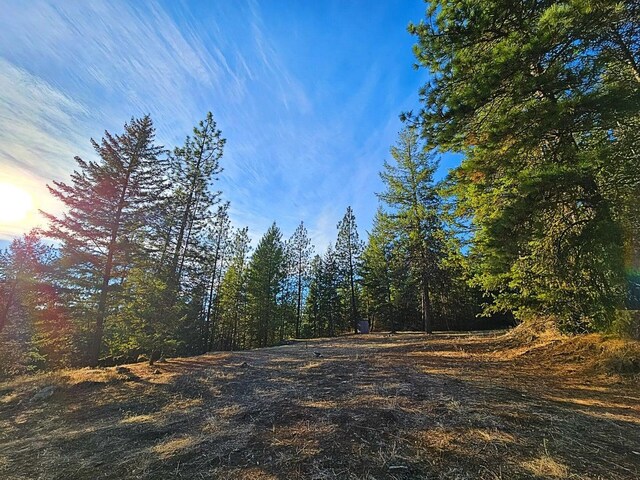 1631Q Bonanza Hill Rd, Evans, WA 99126 - photo 21