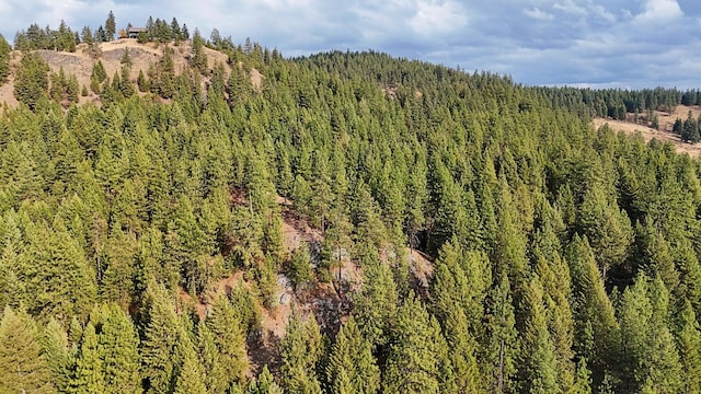 1631Q Bonanza Hill Rd, Evans, WA 99126 - photo 22