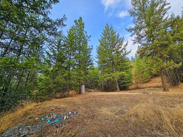 1631Q Bonanza Hill Rd, Evans, WA 99126 - photo 25