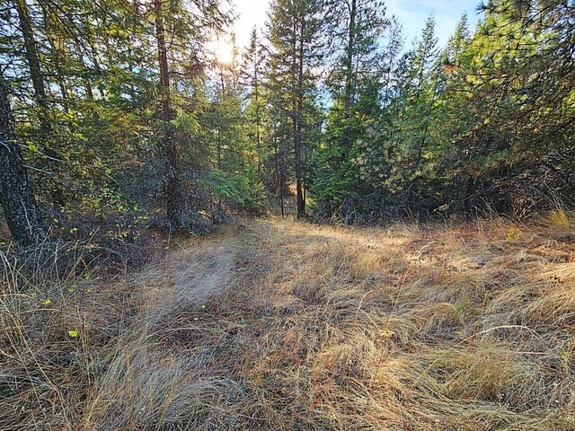 1631Q Bonanza Hill Rd, Evans, WA 99126 - photo 26