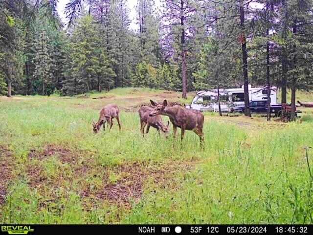 1631Q Bonanza Hill Rd, Evans, WA 99126 - photo 27
