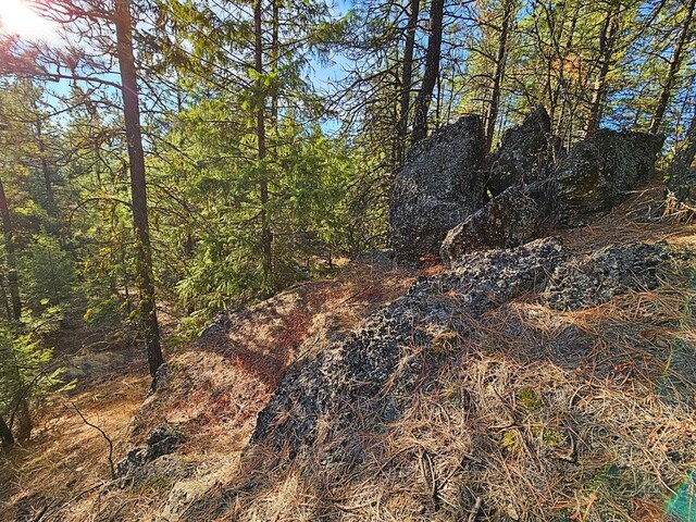 1631Q Bonanza Hill Rd, Evans, WA 99126 - photo 28
