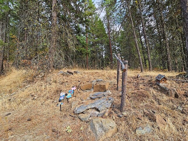 1631Q Bonanza Hill Rd, Evans, WA 99126 - photo 29