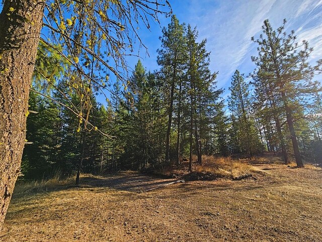 1631Q Bonanza Hill Rd, Evans, WA 99126 - photo 30