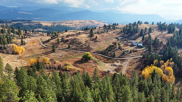 1631Q Bonanza Hill Rd, Evans, WA 99126 - photo 4