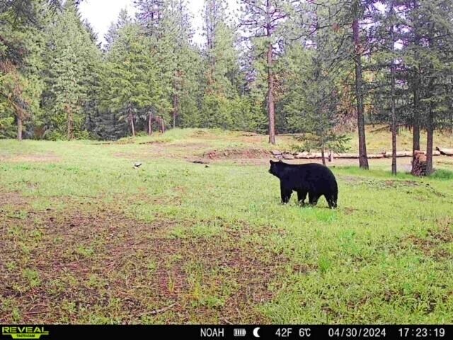 1631Q Bonanza Hill Rd, Evans, WA 99126 - photo 31