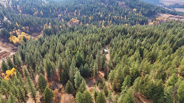 1631Q Bonanza Hill Rd, Evans, WA 99126 - photo 35