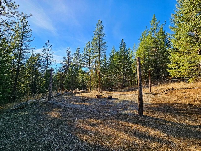 1631Q Bonanza Hill Rd, Evans, WA 99126 - photo 5