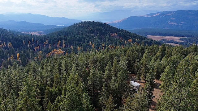1631Q Bonanza Hill Rd, Evans, WA 99126 - photo 7