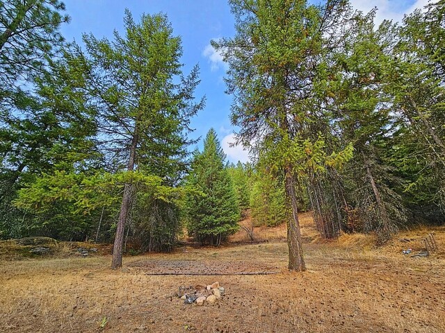 1631Q Bonanza Hill Rd, Evans, WA 99126 - photo 8