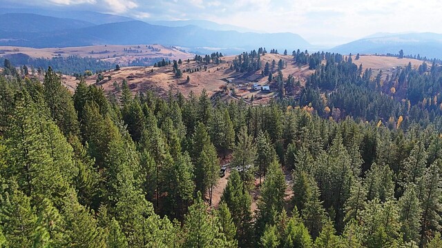 1631Q Bonanza Hill Rd, Evans, WA 99126 - photo 9