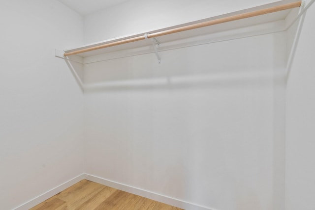 walk in closet with wood-type flooring