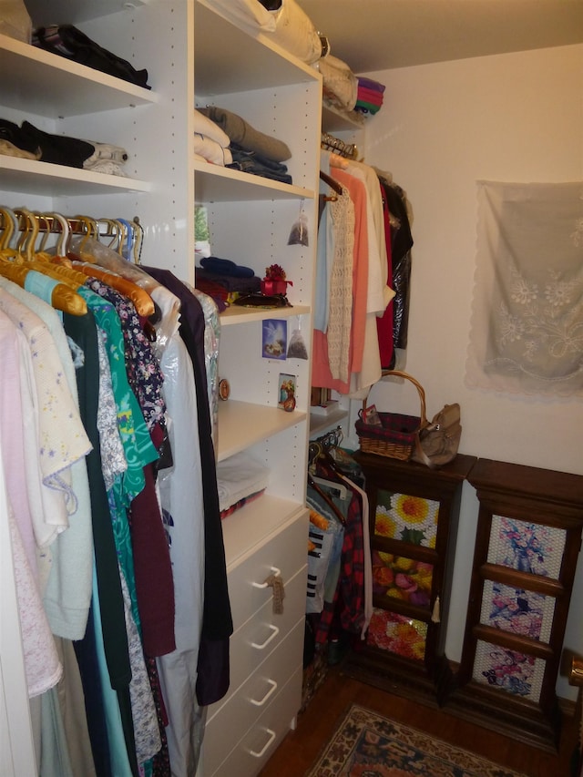 walk in closet featuring dark hardwood / wood-style flooring