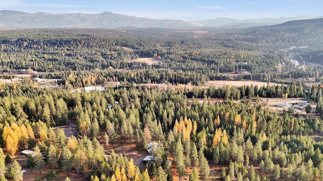 drone / aerial view featuring a mountain view