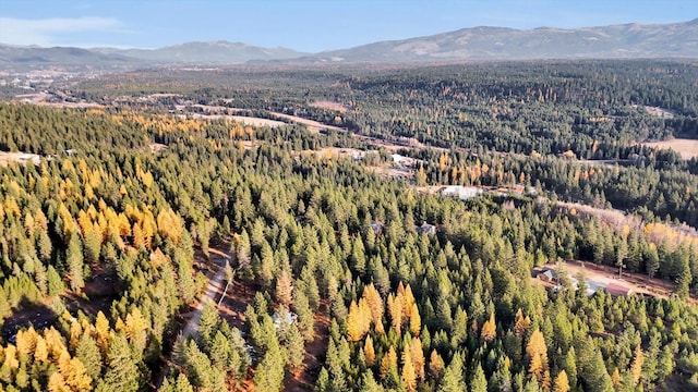 drone / aerial view with a mountain view