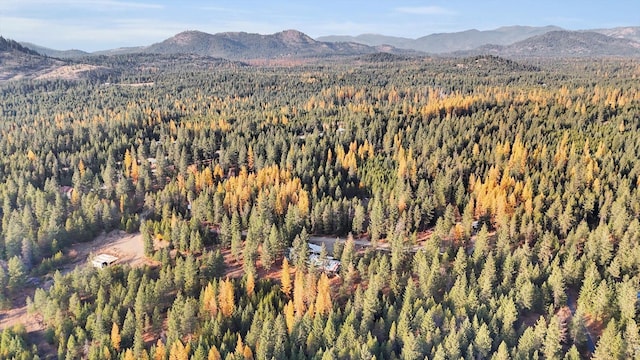 property view of mountains