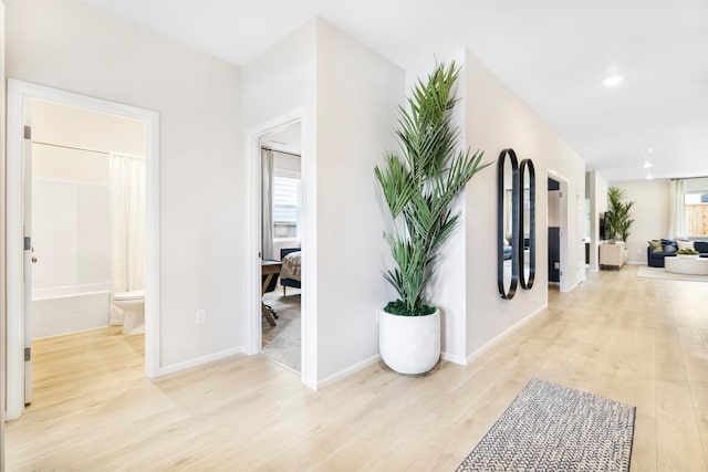 hall featuring light wood-type flooring