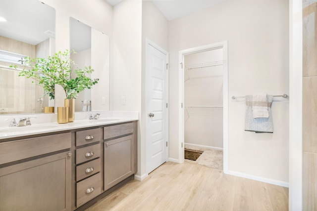 bathroom featuring hardwood / wood-style floors and vanity