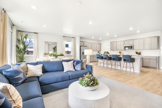 living room with light hardwood / wood-style floors