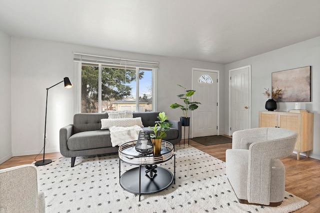 living room with wood-type flooring