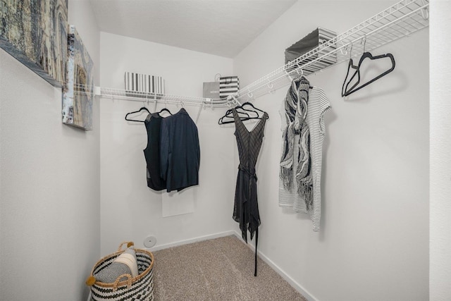 walk in closet featuring carpet flooring