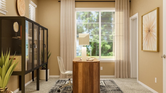 sitting room featuring a wealth of natural light and carpet