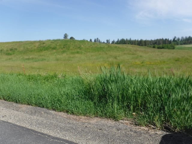 LOT12 Mule Deer Ln, Deer Park WA, 99006 land for sale