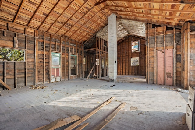 miscellaneous room featuring lofted ceiling