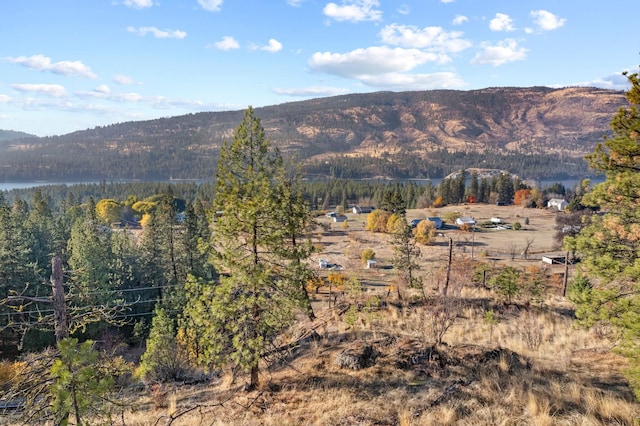 property view of mountains with a water view