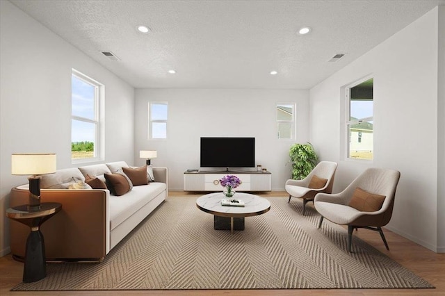 living room featuring hardwood / wood-style floors and a textured ceiling