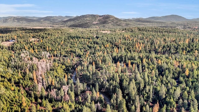 3613 W Jump Off Rd, Valley, WA 99181