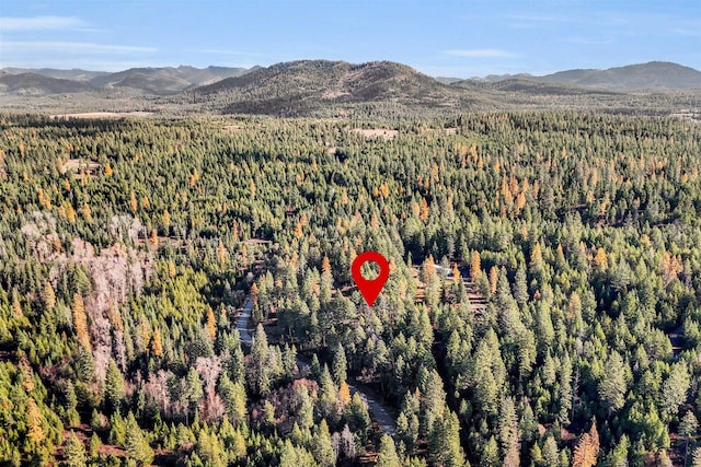3613 W Jump Off Rd, Valley, WA 99181
