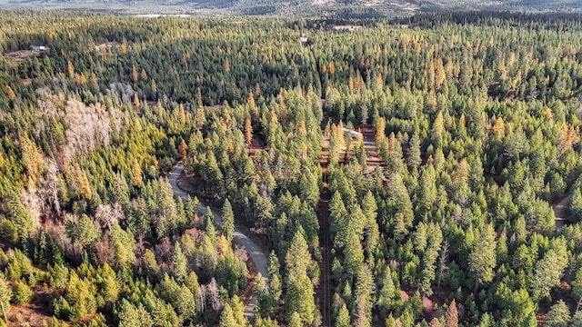 3613 W Jump Off Rd, Valley, WA 99181