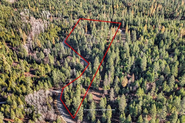 3613 W Jump Off Rd, Valley, WA 99181