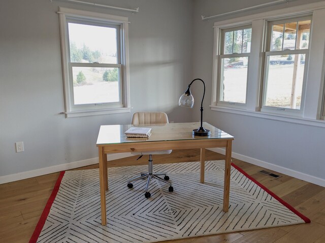 office space featuring a healthy amount of sunlight and wood-type flooring