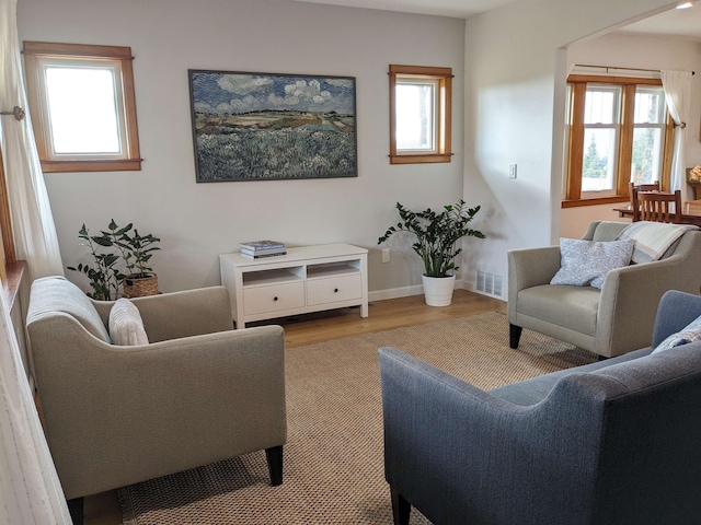 living room with light hardwood / wood-style flooring and a healthy amount of sunlight