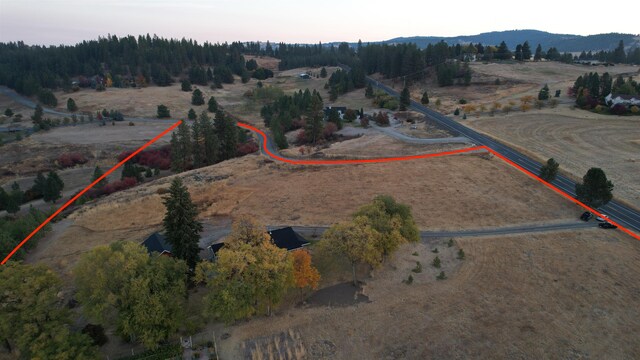 bird's eye view featuring a mountain view and a rural view