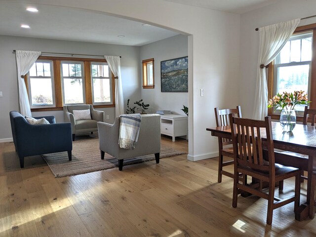 living room featuring a healthy amount of sunlight and light hardwood / wood-style floors