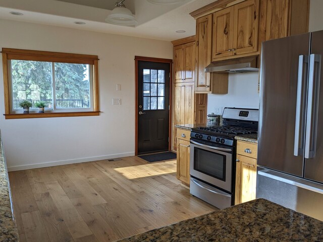 kitchen with stainless steel appliances, light hardwood / wood-style flooring, and dark stone counters