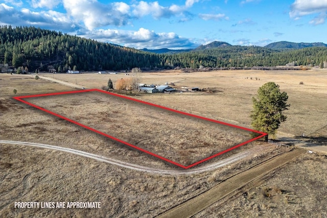 Listing photo 3 for TBD Red Marble Rd, Chewelah WA 99109