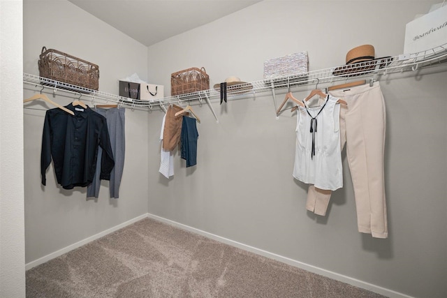 spacious closet with carpet