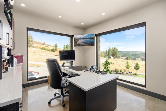 office area featuring a wealth of natural light